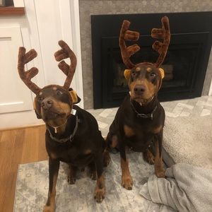 Meet your Posher, Cassandra